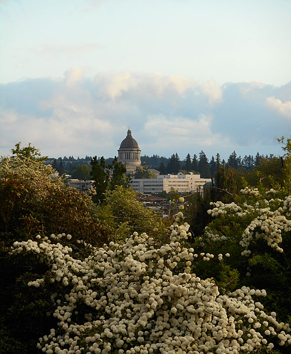 On The Road - Mike in Oly - Olympia, WA 7