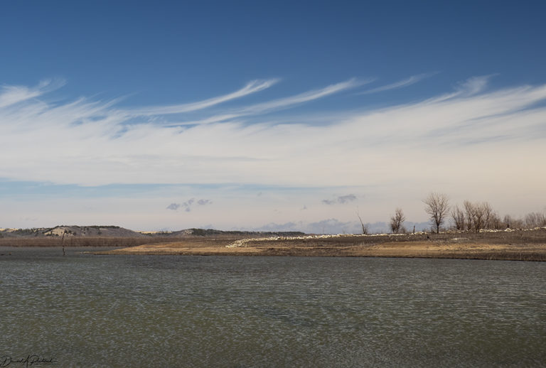 On The Road - Albatrossity - Springtime in Flyover Country 5