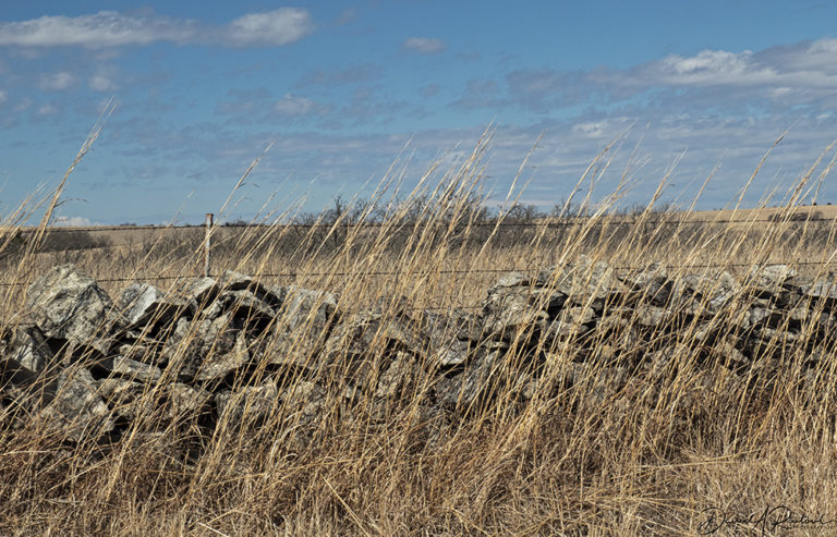 On The Road - Albatrossity - Springtime in Flyover Country 4