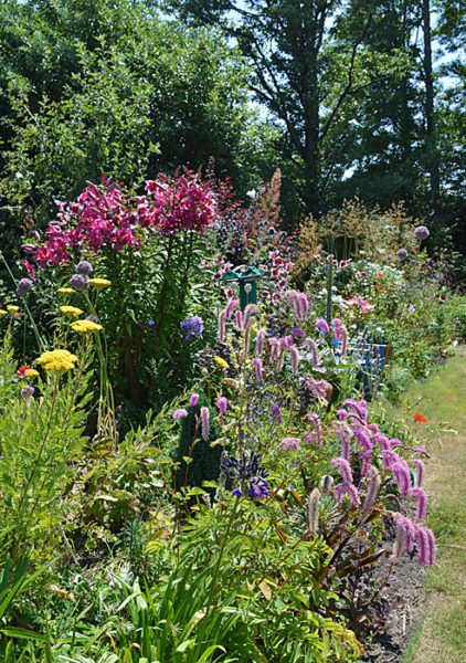 Pacific Northwest Garden Composition