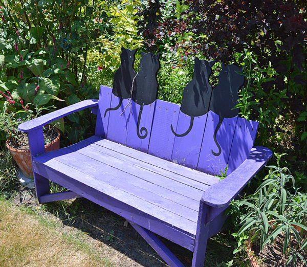 Purple Cat Bench