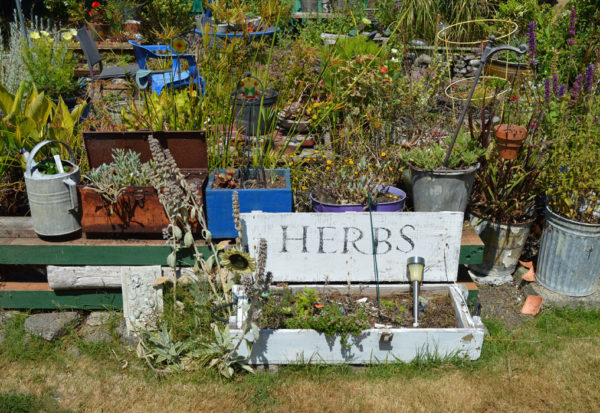 Herb Pots