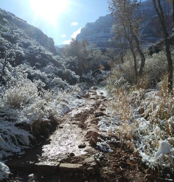 On The Road - Hidalgo de Arizona - The Grand Canyon in Winter 2