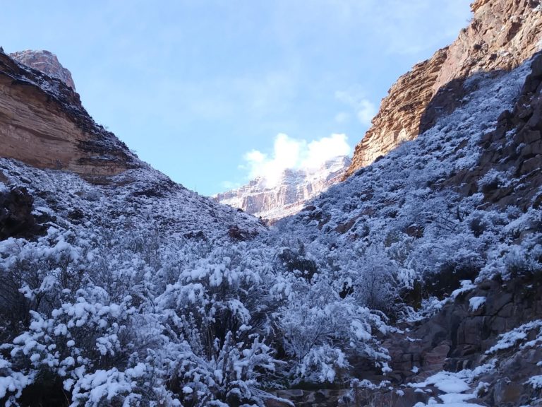On The Road - Hidalgo de Arizona - The Grand Canyon in Winter 1
