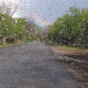 On The Road - For Alain - Fly Away Home 6