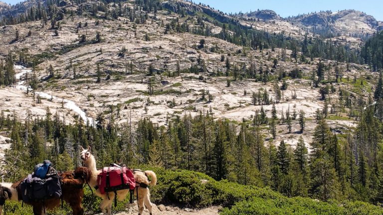 On The Road - lashonharangue - Emigrant Wilderness, CA 4