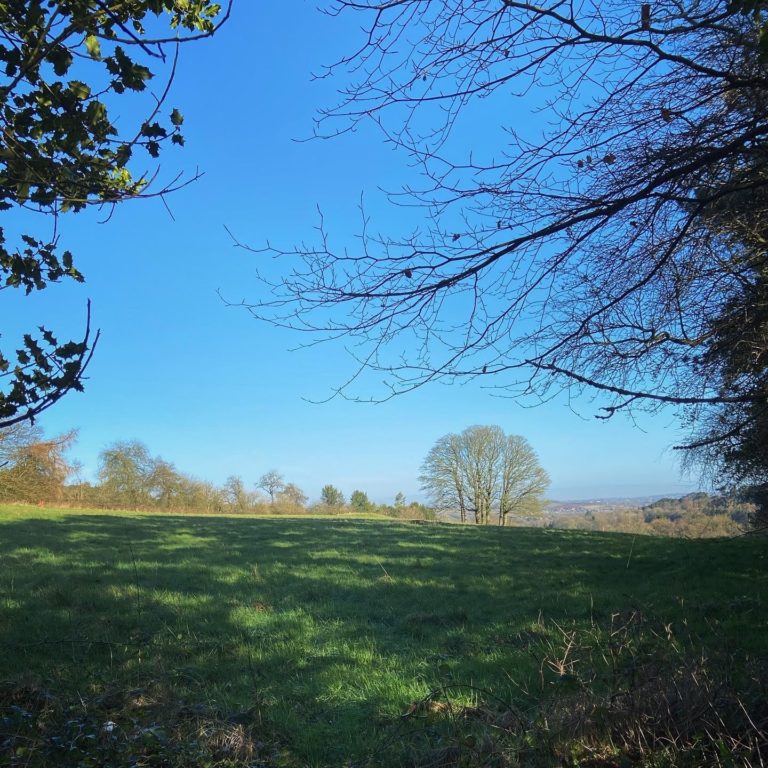 On The Road - R-Jud - High House Wood, Worcestershire, England