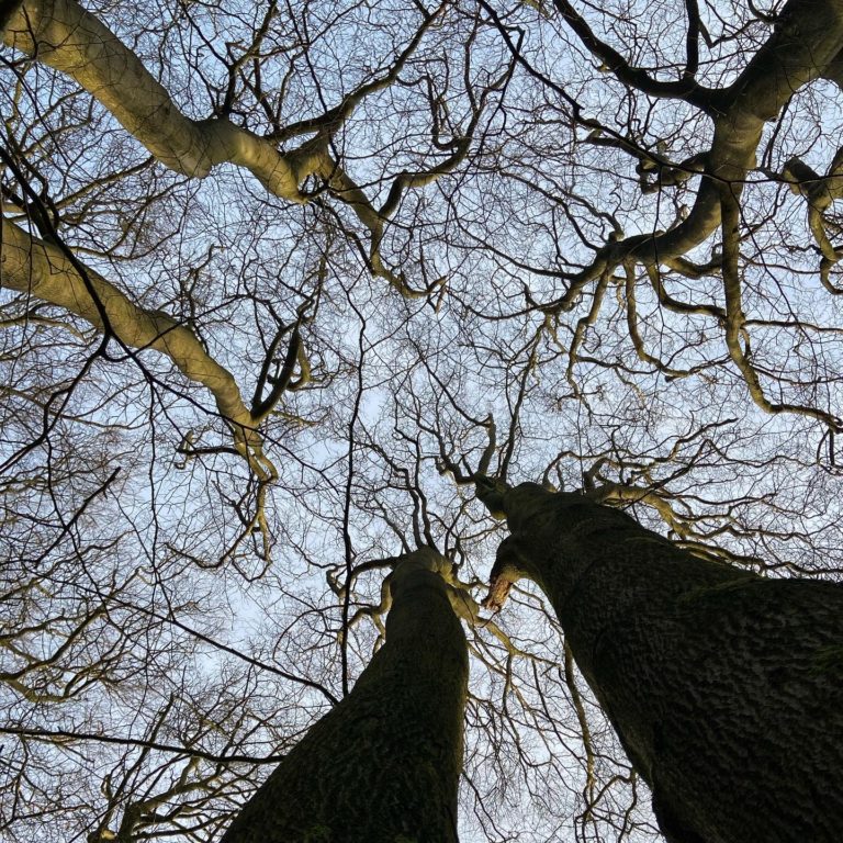 On The Road - R-Jud - High House Wood, Worcestershire, England 1