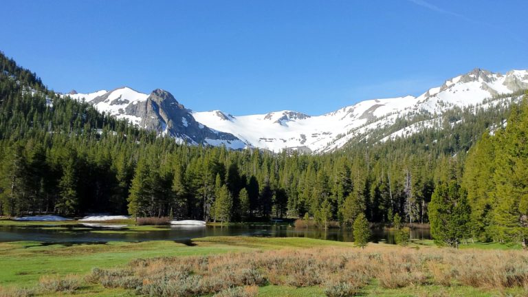 On The Road - lashonharangue - Emigrant Wilderness, CA 6