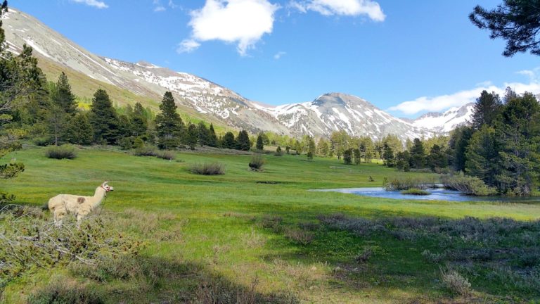 On The Road - lashonharangue - Emigrant Wilderness, CA 5