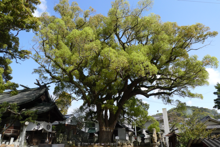 On The Road - Robert Sneddon - "Japan's Home Town", Onomichi 4