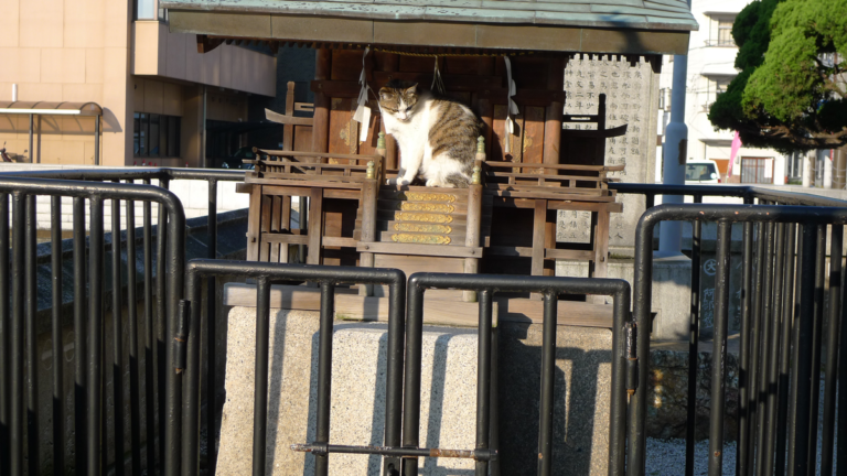 On The Road - Robert Sneddon - "Japan's Home Town", Onomichi