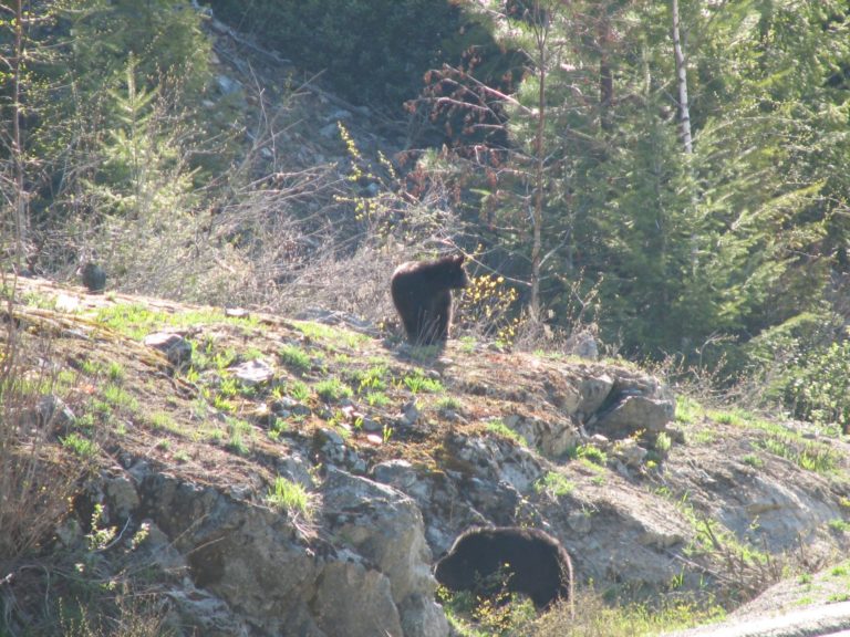 On The Road - realbtl - British Columbia