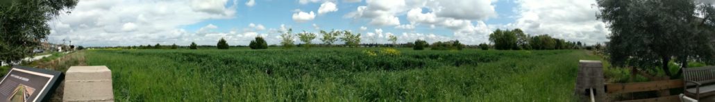 Panoramic shot of farmland under bright sky filled with clouds.