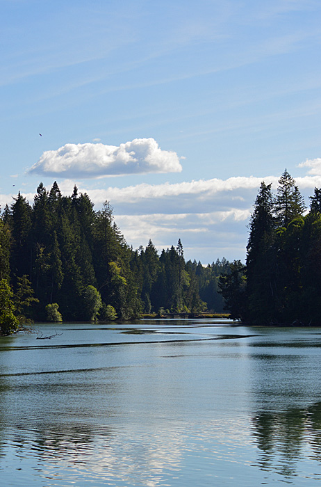 On The Road - Mike in Oly - Woodard Bay Natural Resources Conservation Area 1