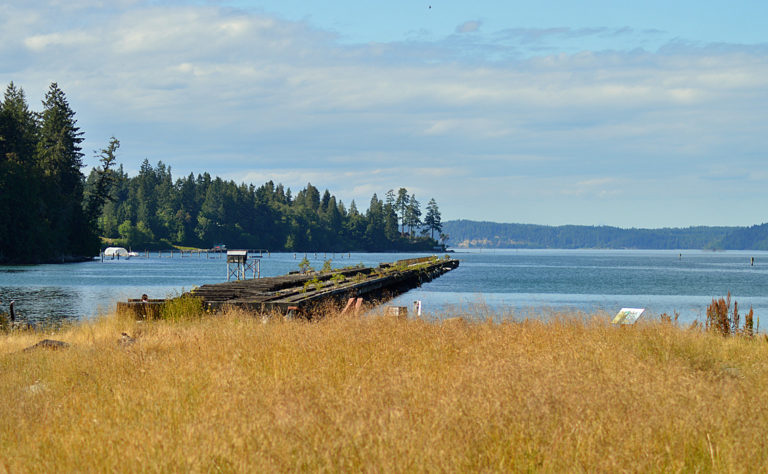 On The Road - Mike in Oly - Woodard Bay Natural Resources Conservation Area 2