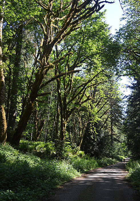 On The Road - Mike in Oly - Woodard Bay Natural Resources Conservation Area 5