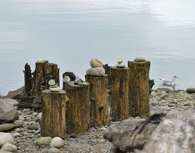 On The Road - Mike in Oly - Woodard Bay Natural Resources Conservation Area 3