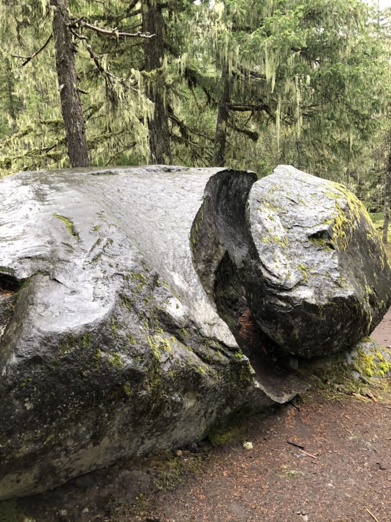 On The Road - feloniousferb - Ramona Falls, Oregon 7