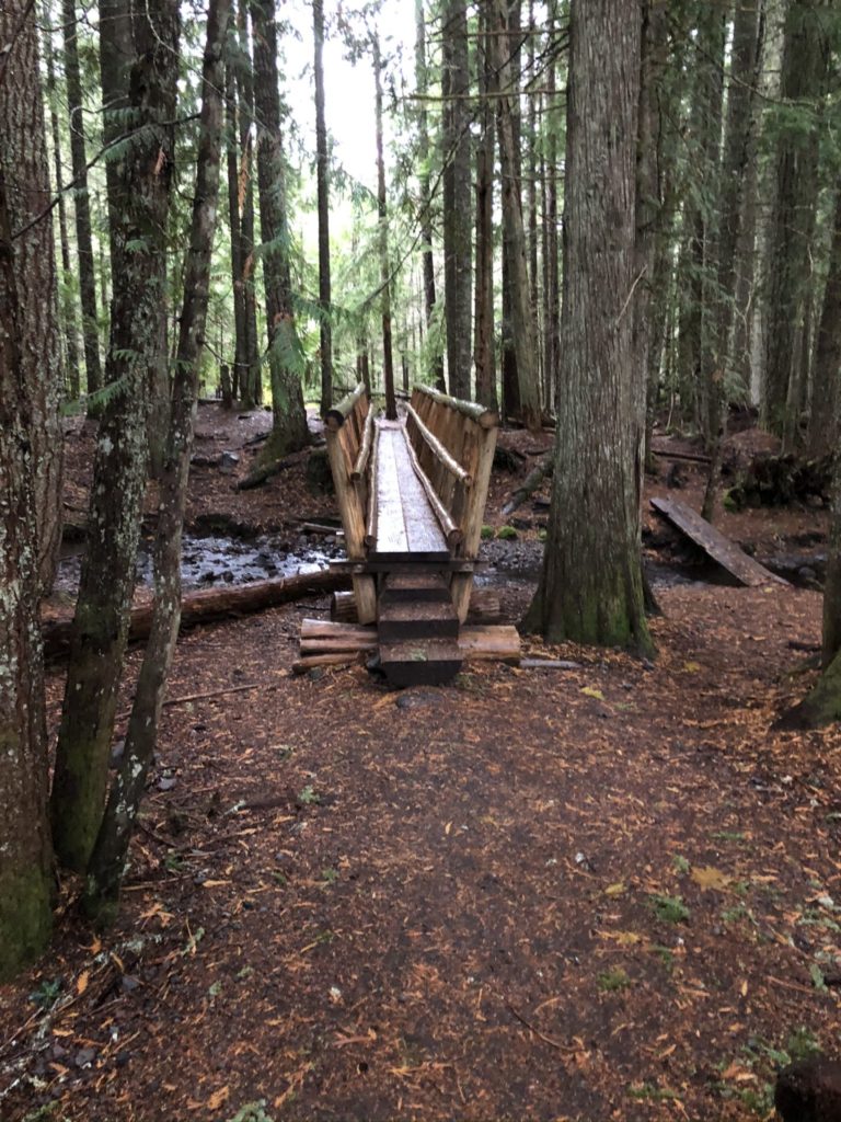 On The Road - feloniousferb - Ramona Falls, Oregon 1