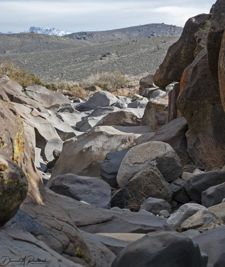 On The Road - Albatrossity - Coso Canyon 9