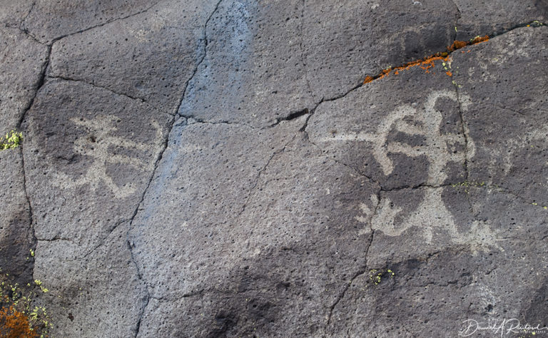 On The Road - Albatrossity - Coso Canyon 5