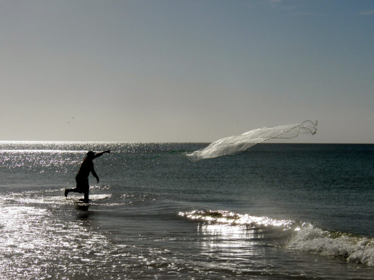 On The Road - cope - Sanibel and Cayo Costa 4