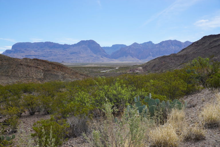 On The Road - frosty - 2020 Coronavirus Road Trip – Part 2: Big Bend National Park 7