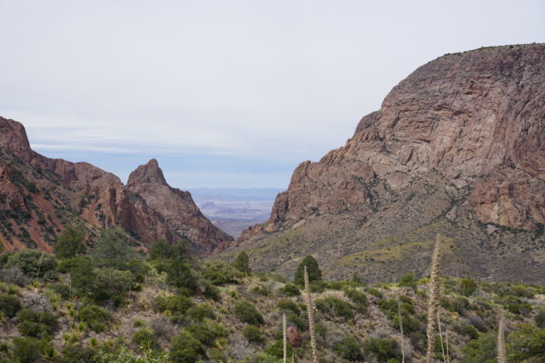 On The Road - frosty - 2020 Coronavirus Road Trip – Part 2: Big Bend National Park 6