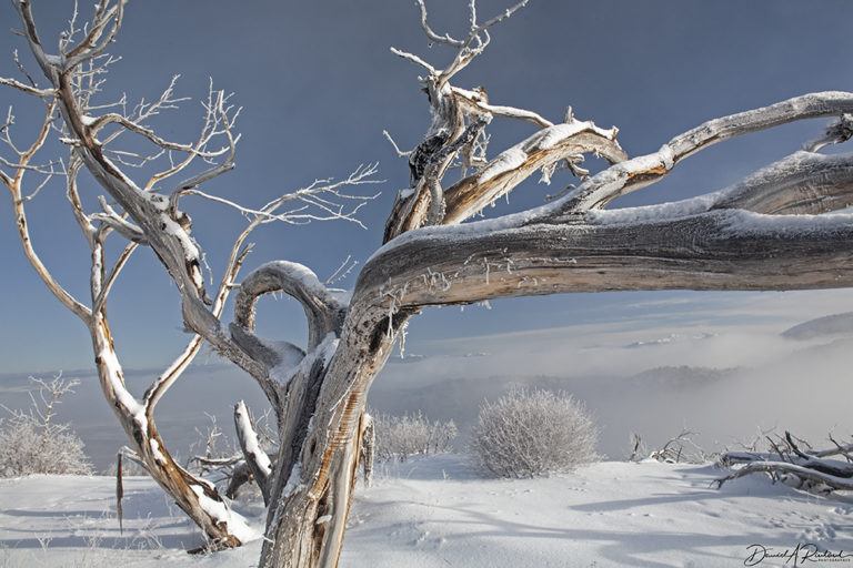 On The Road - Albatrossity - Chaco Canyon, winter 7