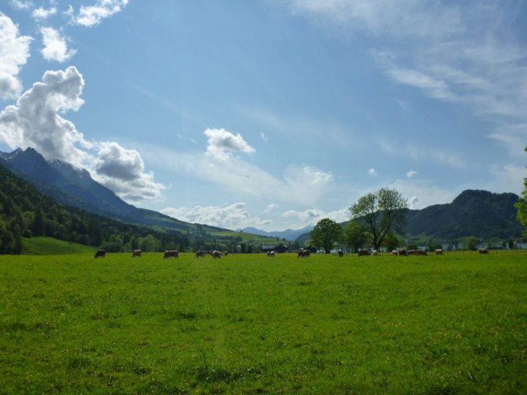 On The Road - way2blue - NORD TIROL 4