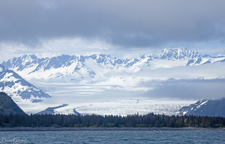 On The Road - Albatrossity - Resurrection Bay, Alaska 6
