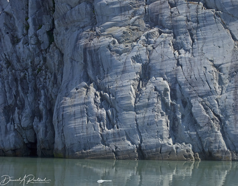 On The Road - Albatrossity - Resurrection Bay, Alaska 3