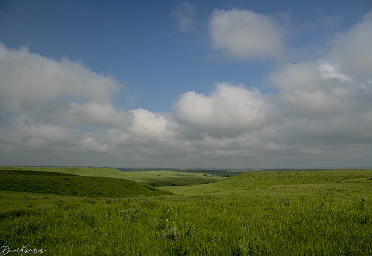 On The Road - Albatrossity - Summer beauty in Flyover Country 7