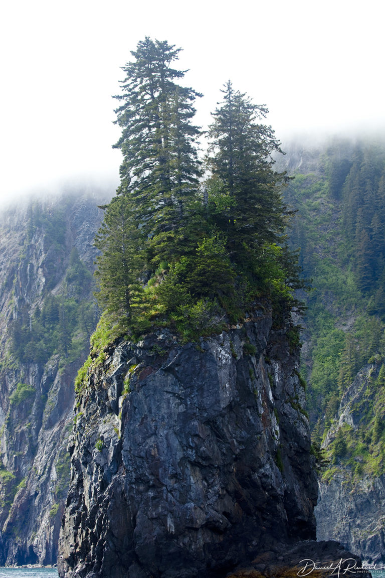 On The Road - Albatrossity - Resurrection Bay, Alaska 1