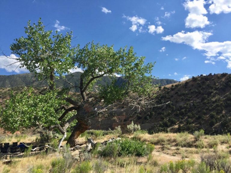 On The Road - TheOtherHank - Green River in Dinosaur National Monument (part 2) 3