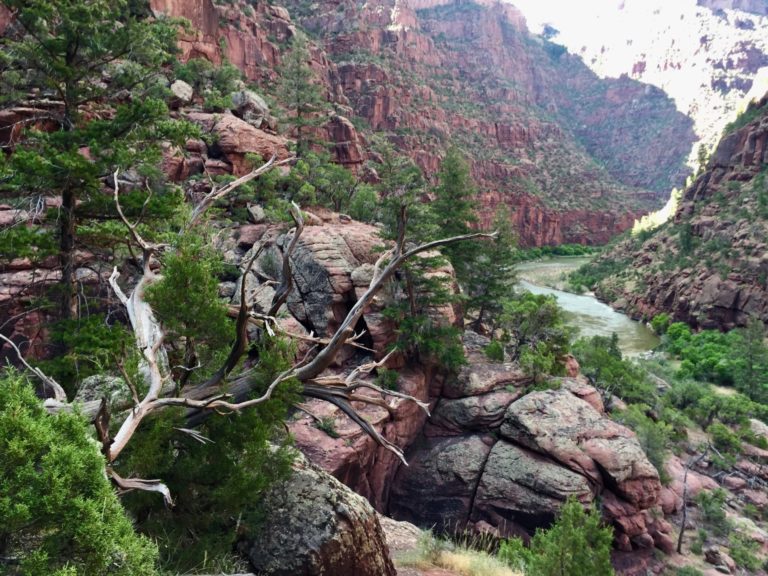 On The Road - TheOtherHank - The Green River in DInosaur National Monument 3