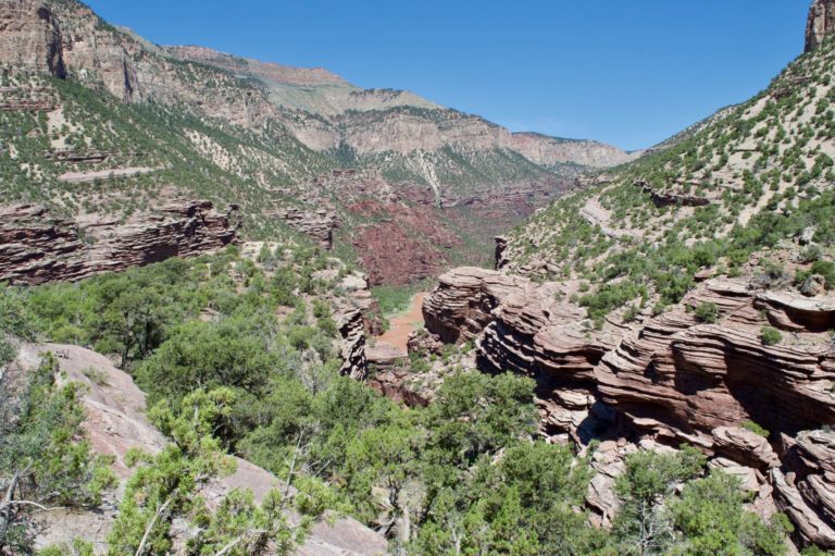 On The Road - TheOtherHank - The Green River in DInosaur National Monument