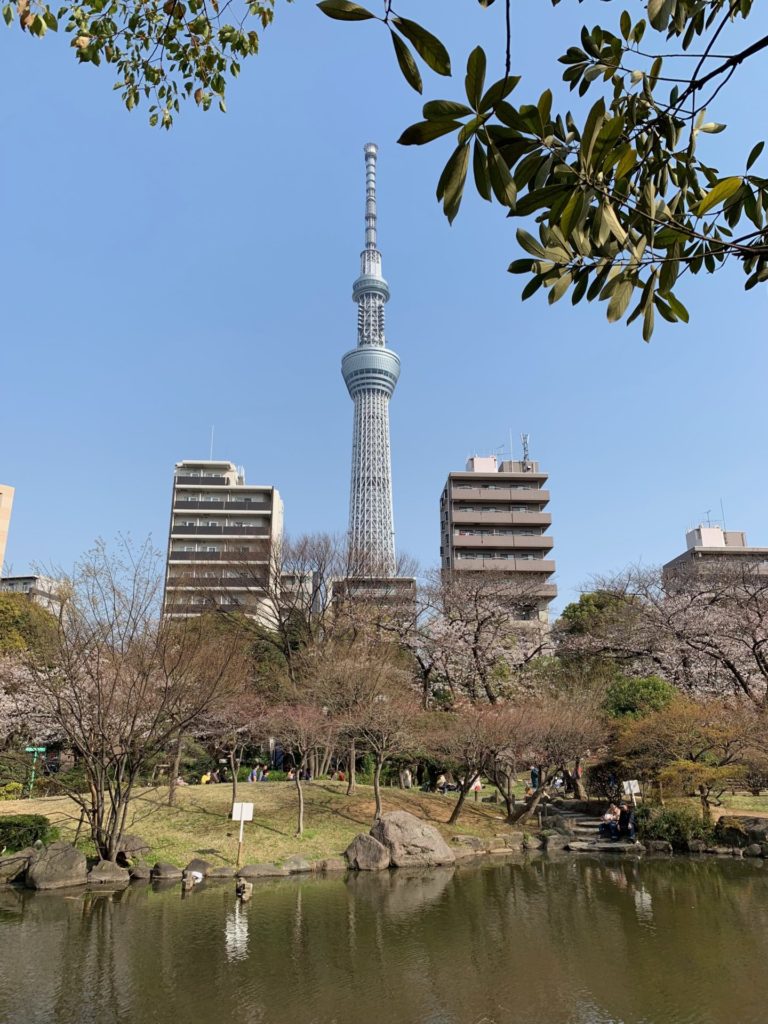 On The Road - Captain C - Captain C Goes to Japan, Spring 2019:  First Tokyo Leg-1