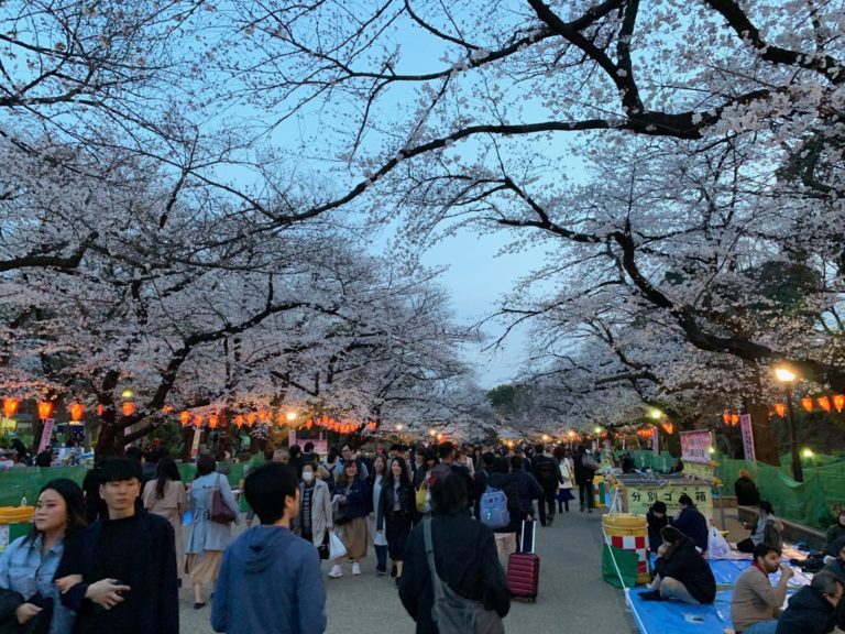On The Road - Captain C - Captain C Goes to Japan, Spring 2019:  First Tokyo Leg-2 2
