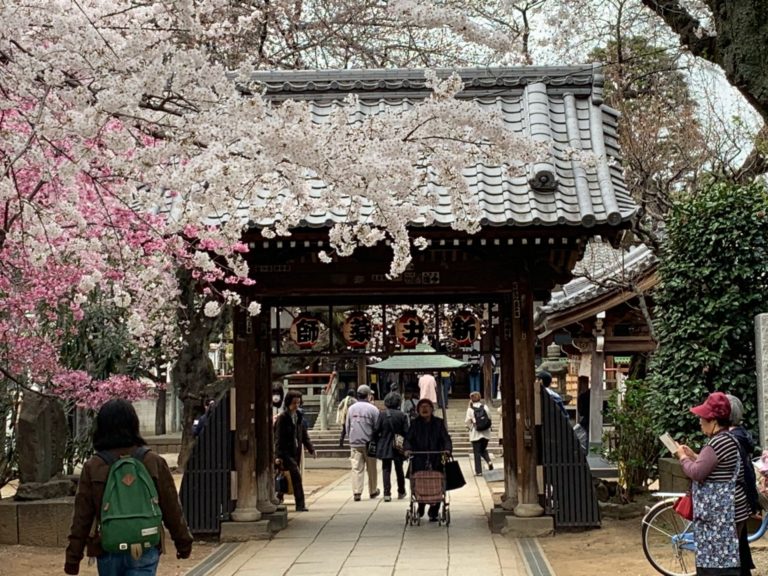 On The Road - Captain C - Captain C Goes to Japan, Spring 2019:  First Tokyo Leg-2 1
