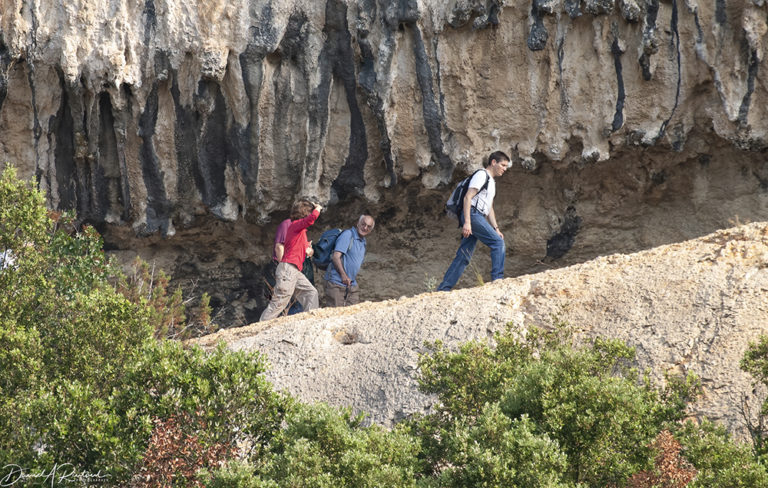 On The Road - Albatrossity - Caves and Birds in France, part 1 2