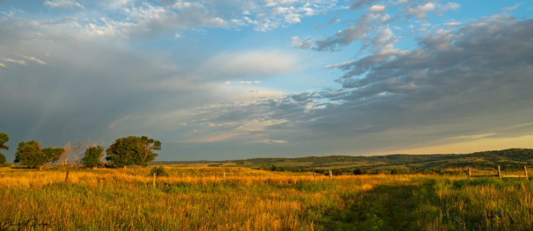 On The Road - Albatrossity - Sandhills of Nebraska - continued 7