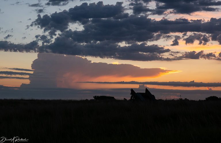 On The Road - Albatrossity - The Sandhills of Nebraska 7