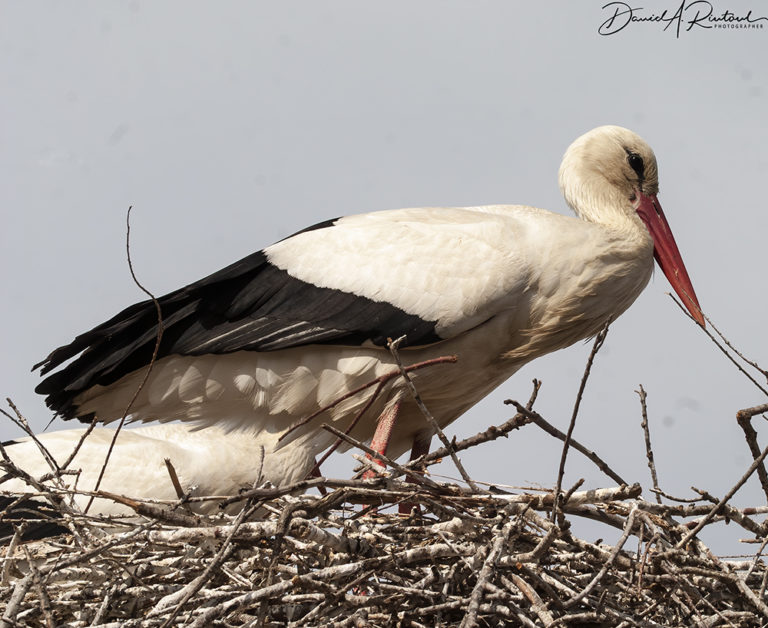 On The Road - Albatrossity - Caves and Birds in France, part 1 5