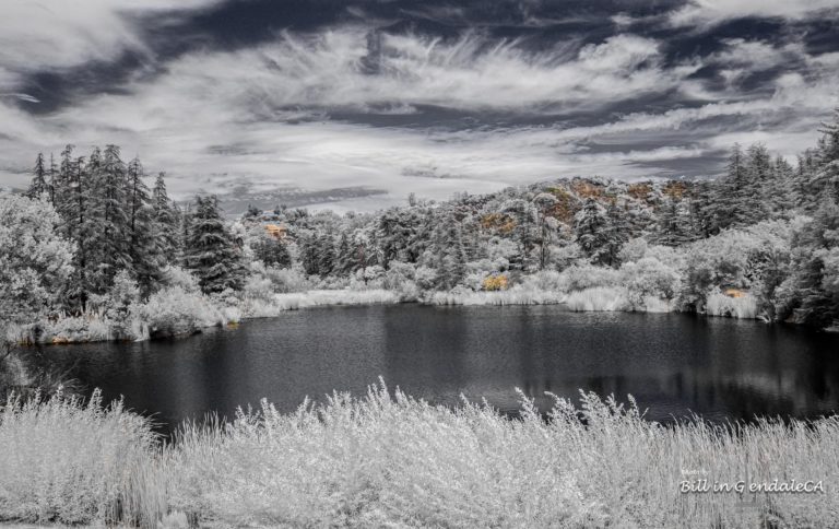 On The Road -  ?BillinGlendaleCA - Franklin Canyon - Infrared/Visual Pairs 6