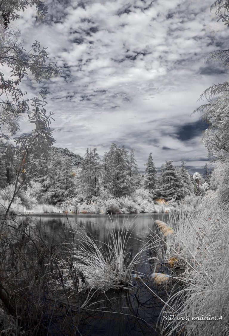 On The Road -  ?BillinGlendaleCA - Franklin Canyon - Infrared/Visual Pairs 4