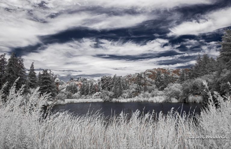 On The Road -  ?BillinGlendaleCA - Franklin Canyon - Infrared/Visual Pairs 2
