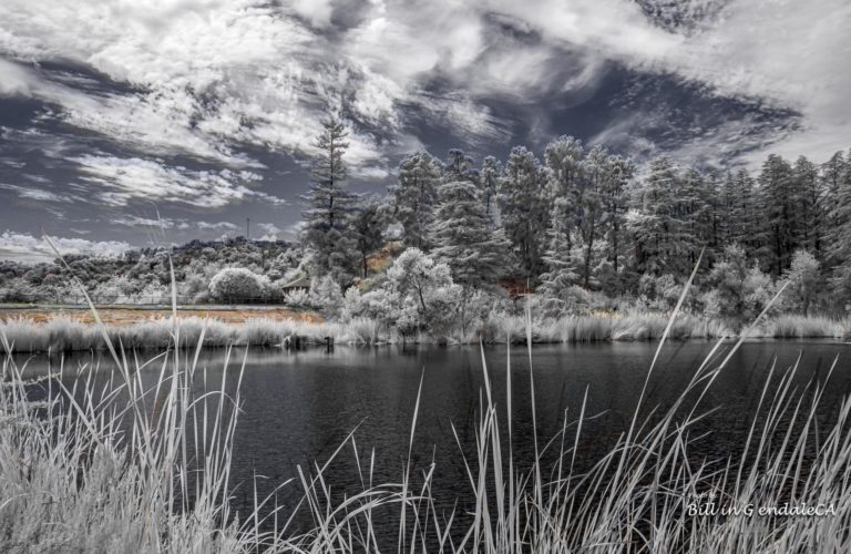 On The Road -  ?BillinGlendaleCA - Franklin Canyon - Infrared/Visual Pairs