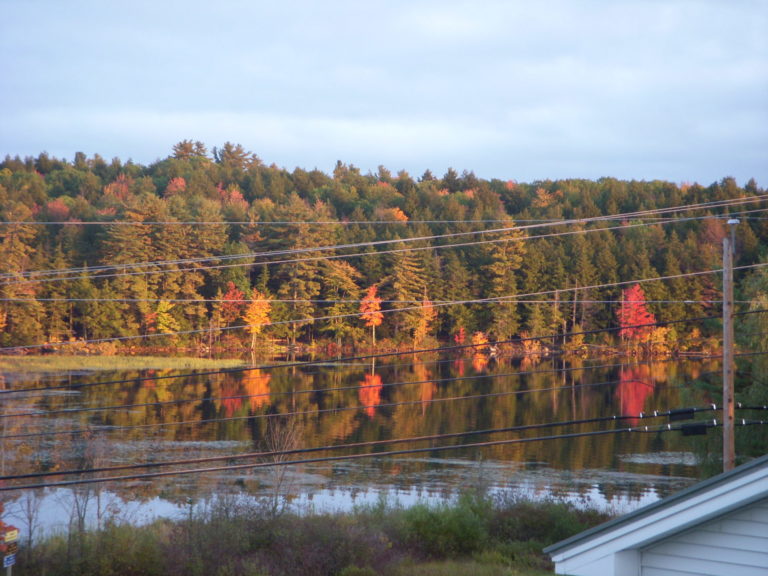 On The Road - JanieM - Fall Color, Central Maine Sampler 7